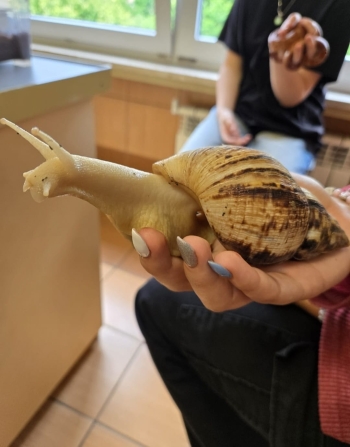 Zdjęcie WhatsApp 2025-06-24 o 13.27.15_289dfd0b