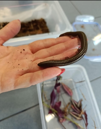 Zdjęcie WhatsApp 2025-06-24 o 13.27.14_5e0ac879