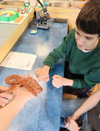 Zdjęcie WhatsApp 2025-06-24 o 13.27.14_950699f0