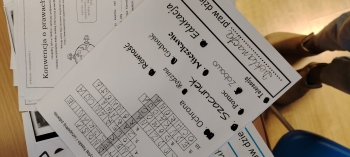 Zdjęcie WhatsApp 2025-11-20 o 11.27.16_b8165e33