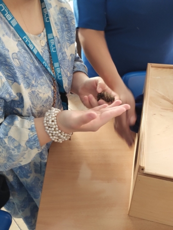 IMG_20251021_143145999