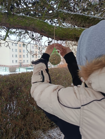 WhatsApp Image 2026-01-13 at 11.18.43 (2).jpeg