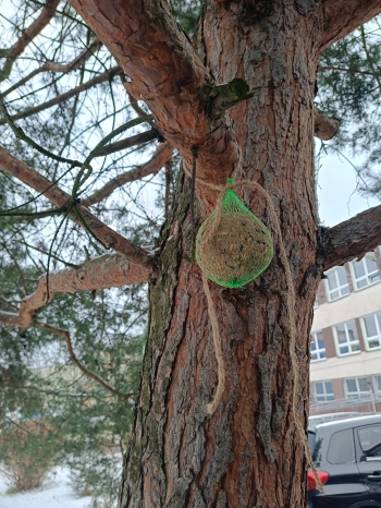 WhatsApp Image 2026-01-13 at 11.18.43.jpeg