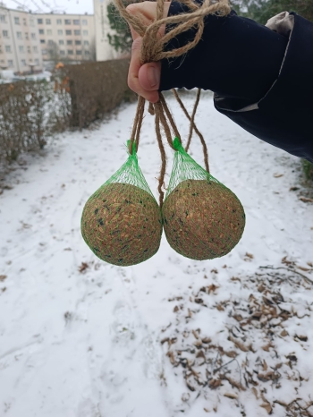 WhatsApp Image 2026-01-13 at 11.18.42 (1).jpeg