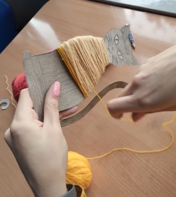 IMG_20260210_150142691