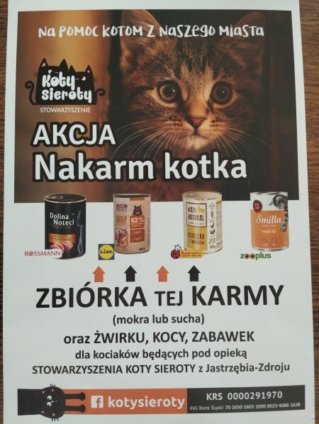 Zbiórka na rzecz Stowarzyszenia ''Koty- Sieroty'' w Zespole Szkół nr 9 w Jastrzę...