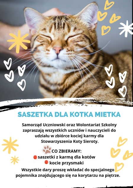 Saszetka dla Kotka Mietka