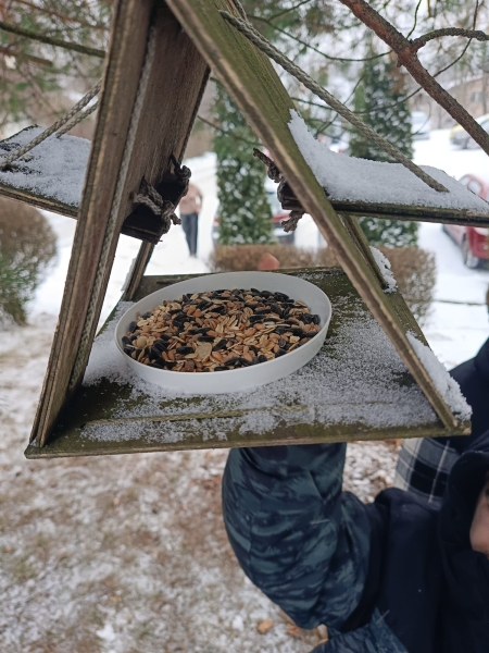 Dokarmiamy dziko żyjące ptaki